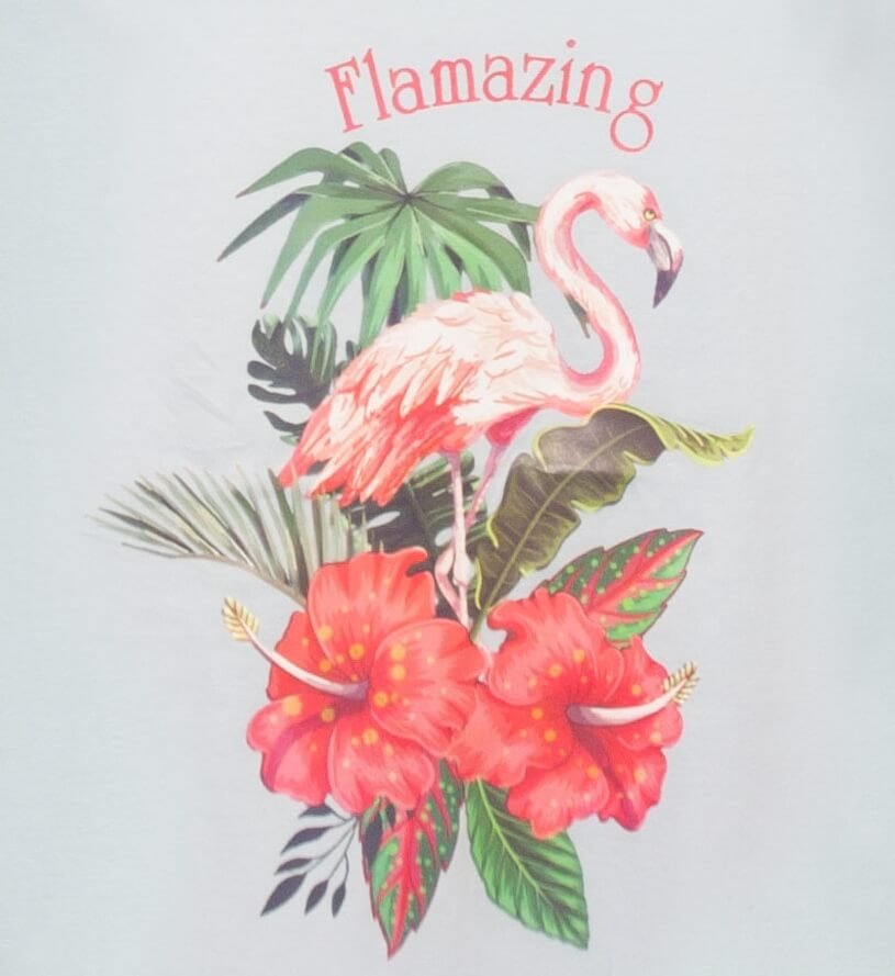 Lichtblauw bigshirt met tropische print van flamingo, palmbladen en hibiscusbloemen. 'Flamazing' tekst bovenaan.