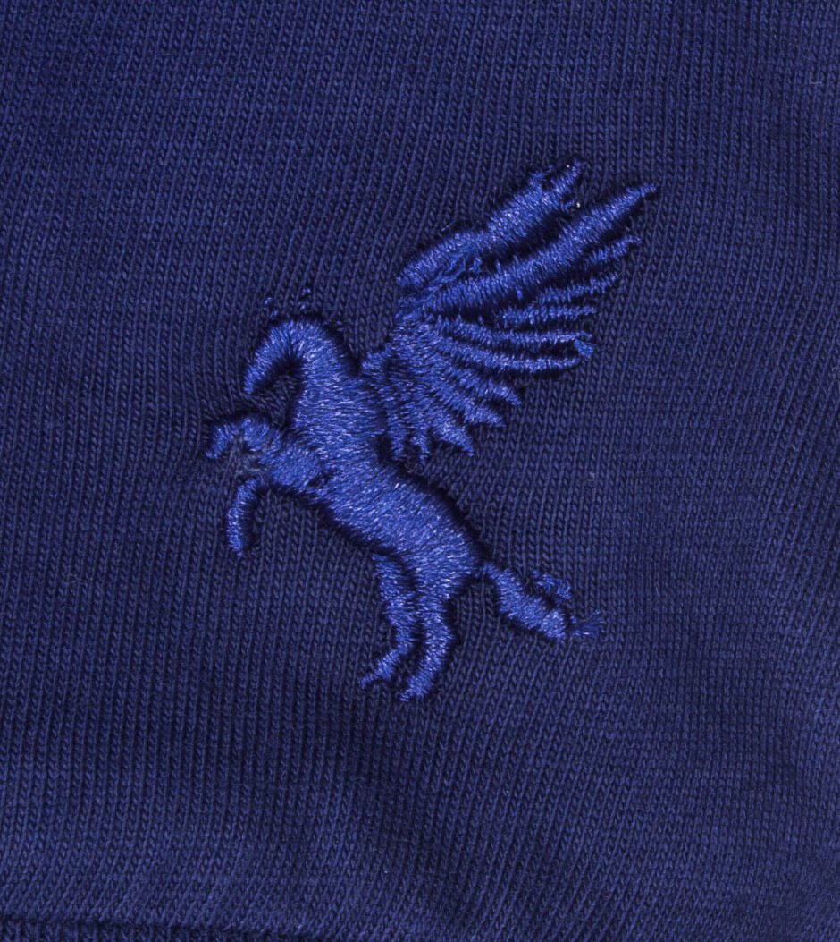 Blauw geborduurd logo van een vliegend paard op een donkerblauwe katoenen stof achtergrond.